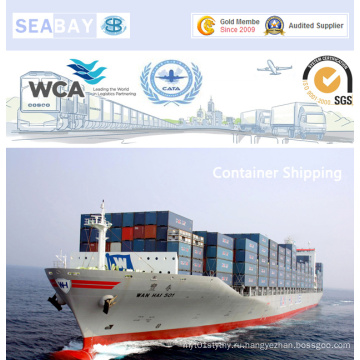 Дешевые обвинения морских перевозок из Китая в Германию